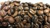 Indonesian French Roast