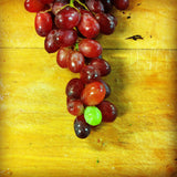 Catering Fun Pics